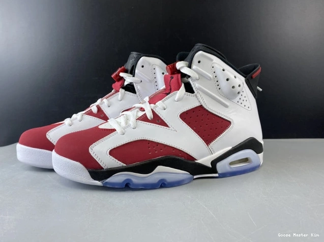 6 'CARMINE' 2014 384664-160 JORDAN RETRO AIR 0628